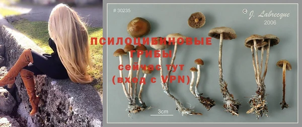 гидропоника Бородино