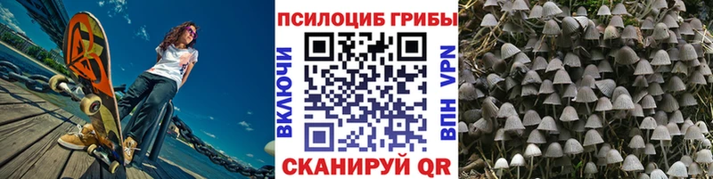 блэк спрут ссылка  Елабуга  Галлюциногенные грибы прущие грибы 